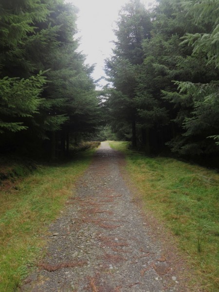 Track in Thornthwaite Forest