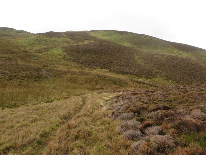 Whinlatter Fell