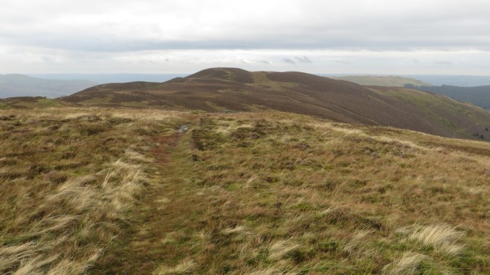 Whinlatter