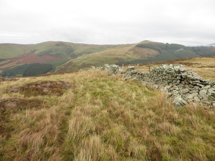 Stone wall on Whinlatter