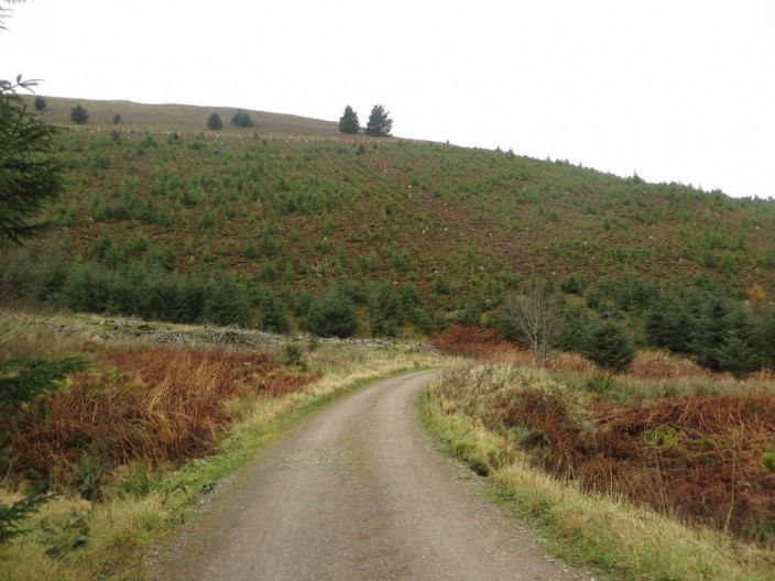 Track beside Aiken Beck