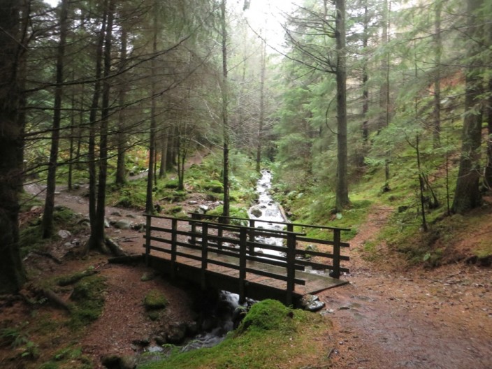 Footbridge crossing a stream in the forest