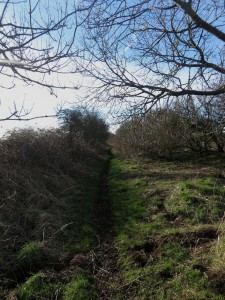 A bridleway and farm track