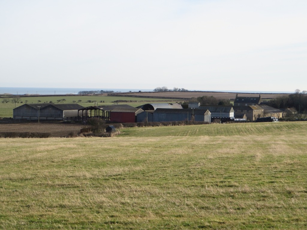 A grass field with the farm buildings at Burton behind