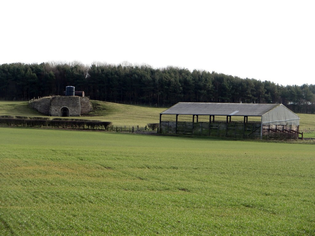 A limekiln and farm shed on farmland at Burton