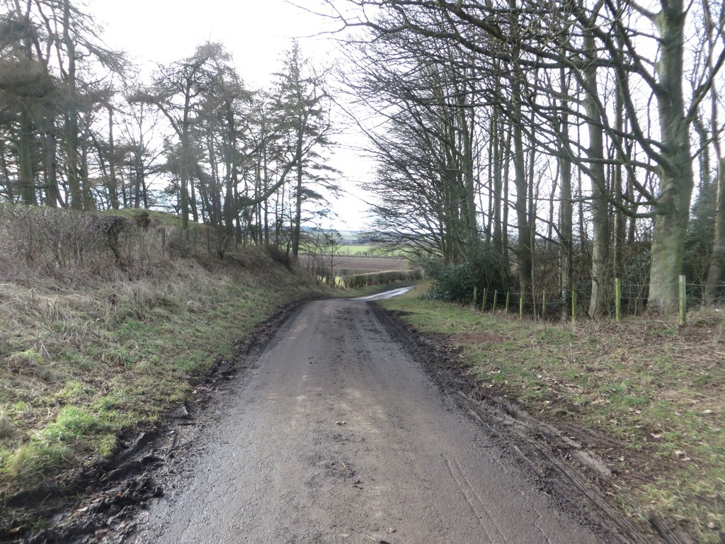 A narrow road passes between trees east of Bradford