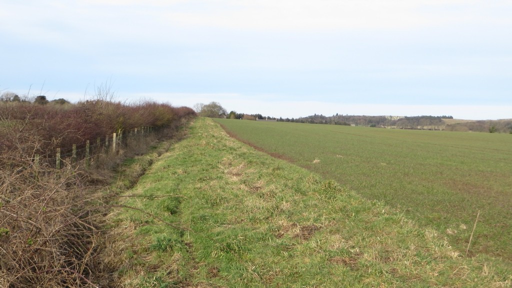 A footpath follows a field margin south of Bradford