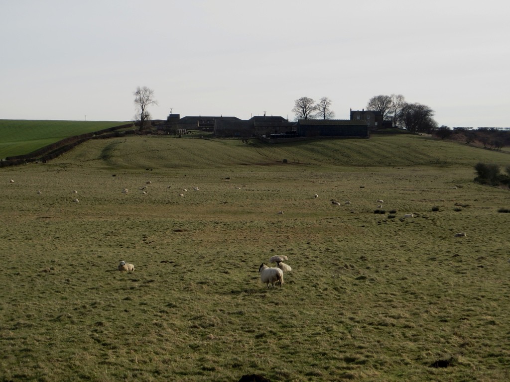 A grass field with Hoppen Hall farm buildings behind