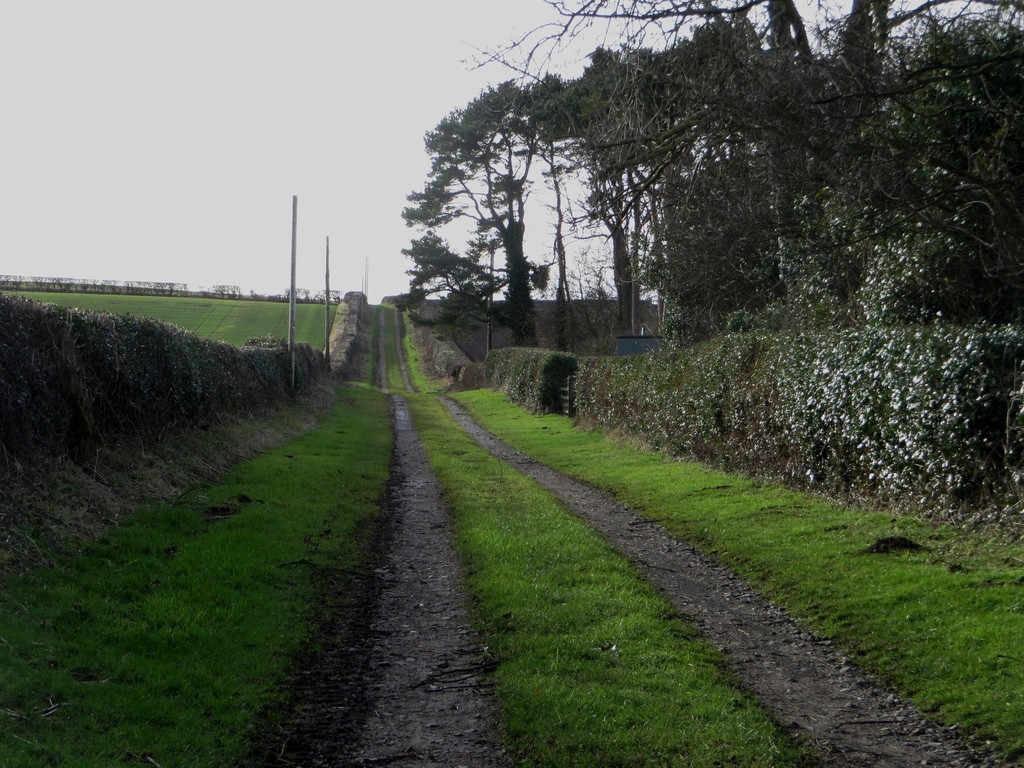 A straight, grassy farm track