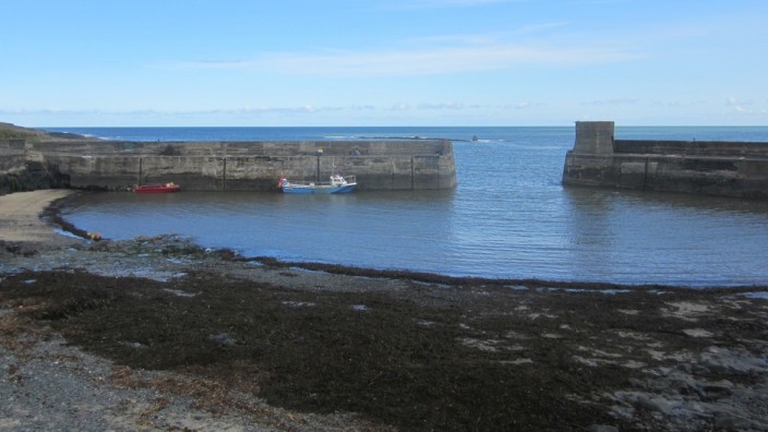 Craster Harbour