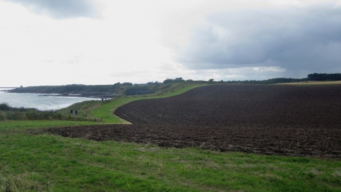 ploughed field beside the path