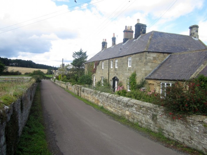 Houses at Howick