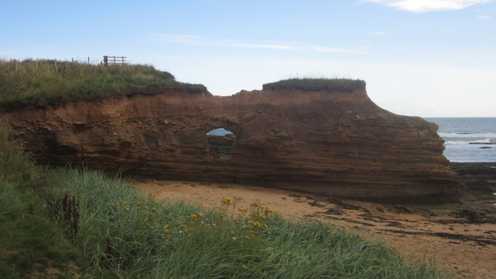 Eroding outcrop at Howick Haven