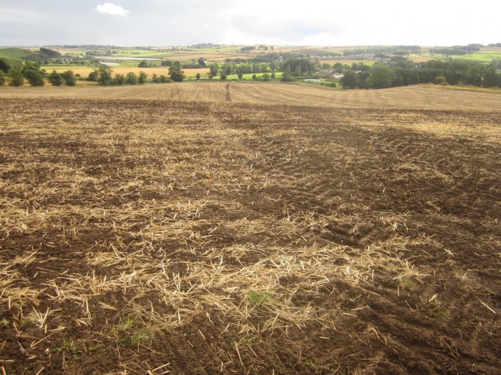 A path across cultivated arable land