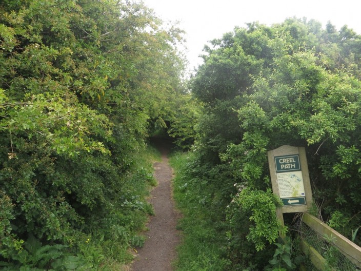 The Creel Path between Coldingham and St Abbs