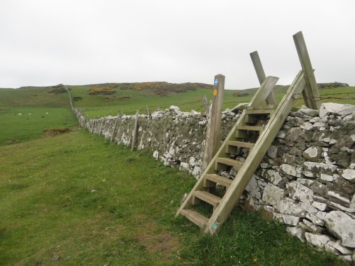 A stile over a wall on the Berwickshire Coast Path