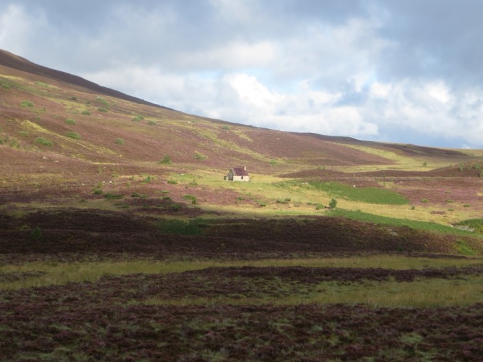 Heather and Ryvoan Bothy