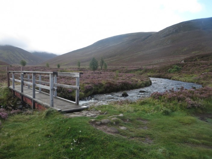 Footbridge crossing the river