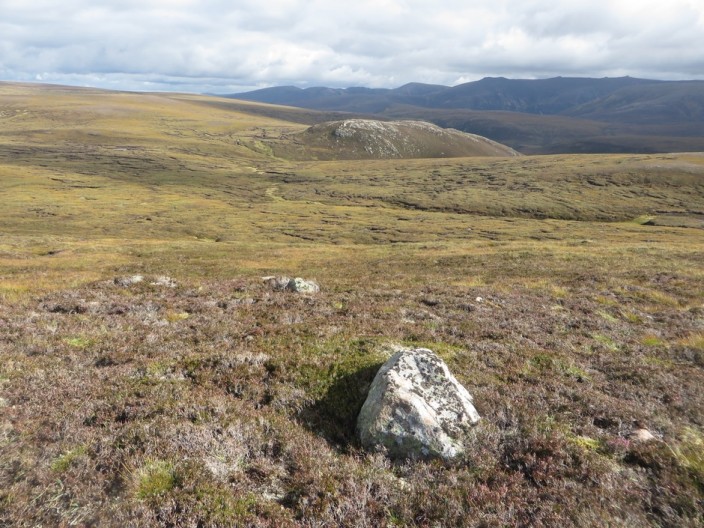 An expansive area of heather moorland