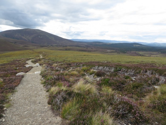 Looking along the path towards Ryvoan