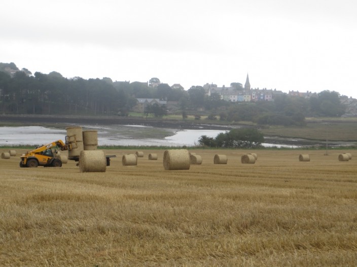 Fields beside Alnmouth