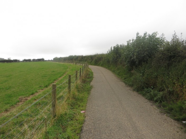 A segregated cycle path