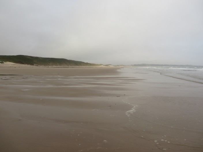 Beach north of Warkworth