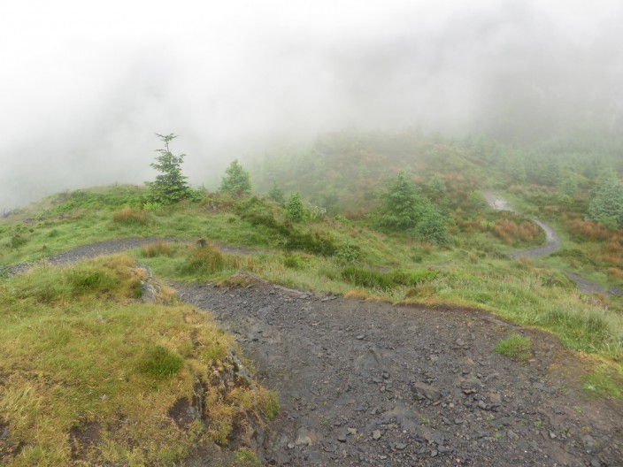 Footpath on Dodd