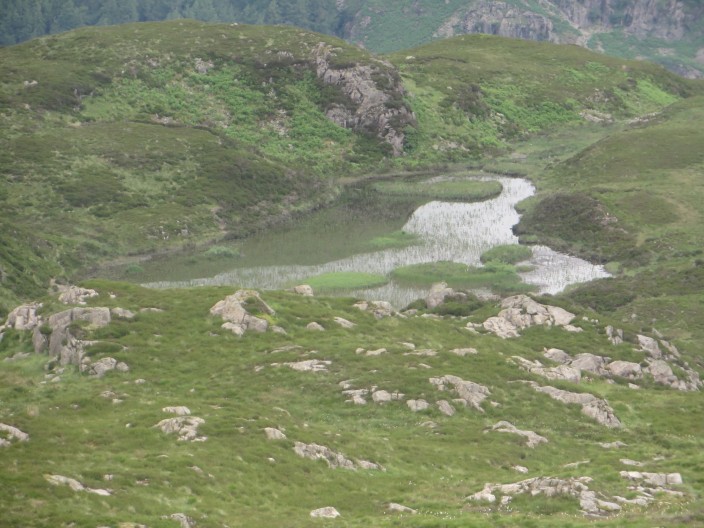 Lingmoor Tarn